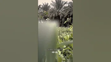 كنت دوما أتجول في هناء مثل بلبل 
