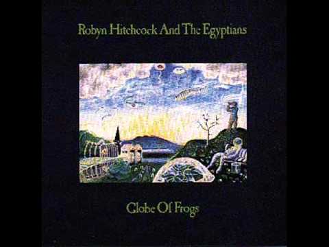 Robyn Hitchcock & The Egyptians — Robyn Hitchcock - The shapes