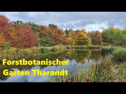 Forstbotanischer Garten Tharandt