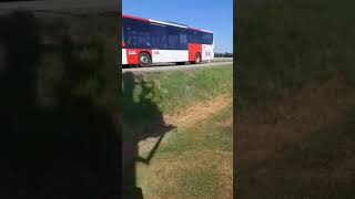 Setra S 415 LE business #bus #setra #pid