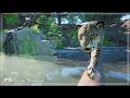 Jaguar Habitat - Sundew Safari Park | Planet Zoo Speed Build