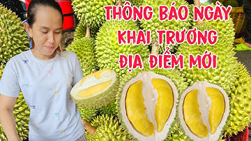 Bà Chủ Vựa Sầu Riêng Hiếu Nghĩa Bất Ngờ Thông Báo Ngày Khai Trương Địa Điểm Mới.