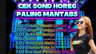 Download Lagu CEK SOUND HOREG 2026 PALING MANTAPS #djhoreg #djviral #music MP3