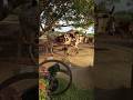 Gear system with help start bil #shorts #trending #foryou