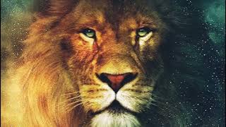 The Chronicles of Narnia Main Theme (arr. Johnny Freund)