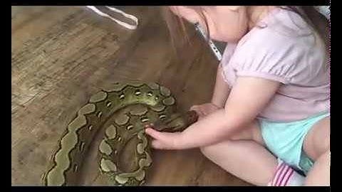 2 year old Baby Plays with 6 Feet long Python