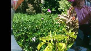 Famous Servant of chirst santa teresa toledo Profile