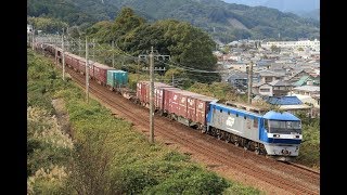 2019.11.07 8052レ EF210-4 + コキ