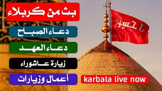 البث المباشر من كربلاء المقدسة شهر جمادى الاول - دعاء الصباح - زيارة عاشوراء - أدعية لقضاء الحوائج