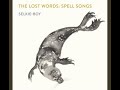 Selkie-Boy (Spell Songs)