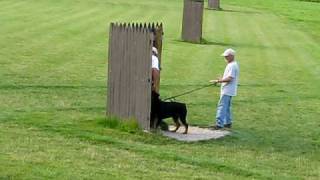 Krieger k9club3.AVI