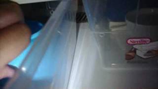 Phantom Ball Python Babies 2010