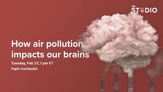 How air pollution impacts our brains