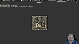 Installing Mods using Wrye Bash