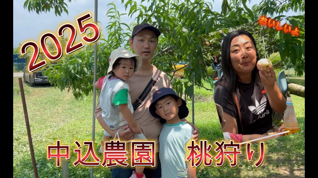 「【桃狩り体験】中込農園で旬の桃を収穫して食べてみた！
