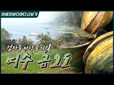 황금자라를 닮았다 하여 이름 붙여진 여수 <strong>금오도</strong>