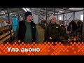 «Үлэ дьоно» биэриигэ: Нам Аппаанытын фермерэ Ариан Винокуров (14.11.23)