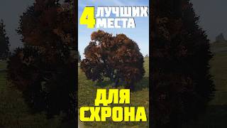 4 ЛУЧШИХ МЕСТА для СХРОНА в DayZ #dayz #дейз