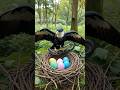 Mother Birds Battle with Snake to Save her Eggs#birds #nest #aishorts#wildlife#nature #animalattack