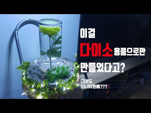 단돈 15,000원 다이소 용품으로 최저가 어항만들기