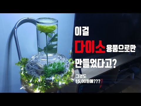 단돈 15,000원 다이소 용품으로 최저가 어항만들기 Make a mysterious fish tank with 10 dollars