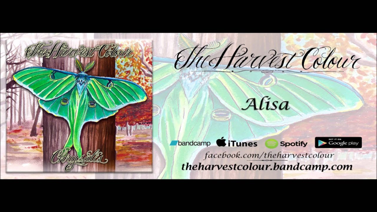 The Harvest Colour - Alisa