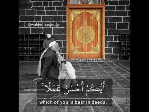 عبدالعزيز سحيم أجمل حالات واتس قرآن Quran Status