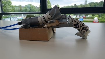 Soft robotics video 2 - Gripper and locomotive