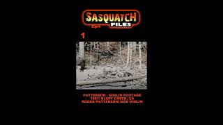 TOP 5 BIGFOOT Sightings! #shorts