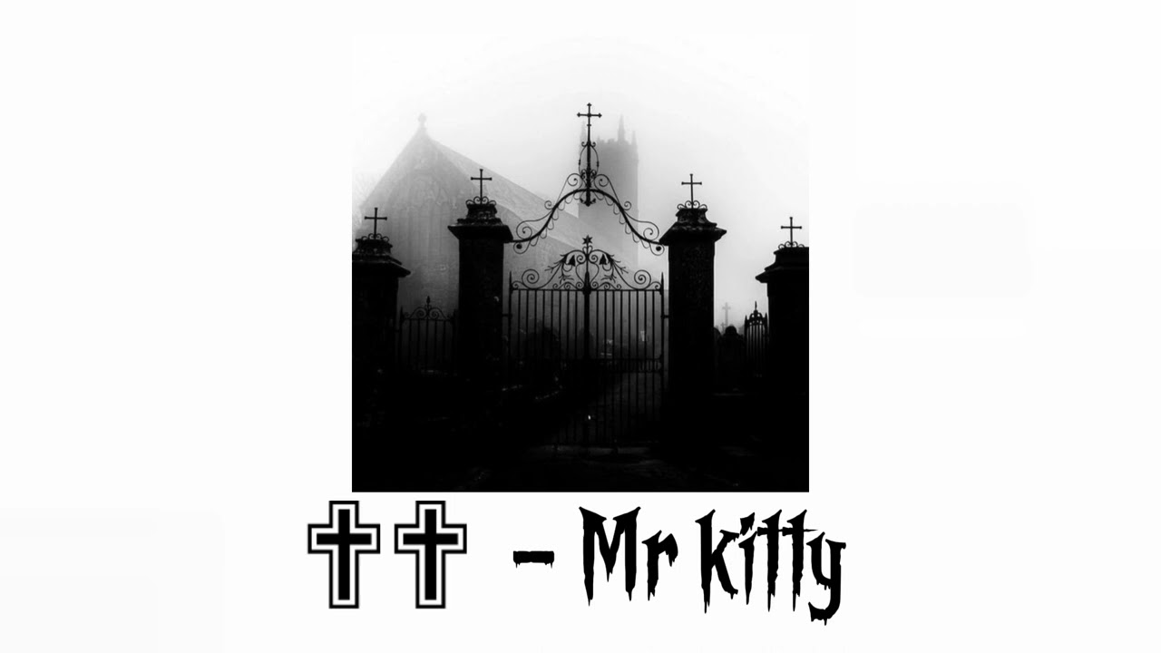 Mr.Kitty (@mrkittydm) / X