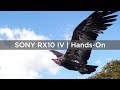 Sony RX10 IV | Hands-On