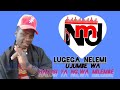 LUGEGA NELEMI MBASANDO UJUMBE WA HALUSI YA MILEMBE BY LWENGE STUDIO 2025 0788192330