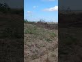 um bom final de semana pra todos vocês