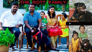 15 years experience in Rottweiler dogs | Rottweiler dogs | Rottweiler Dogs tamil | Dog sales | Puppy
