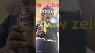 🇳🇿New zealand free work visa #shorts #youtubeserch #ytshorts #viralshorts #explore #shorttsfeed