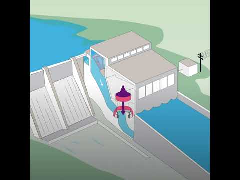 Video: Hur lyfter vattenkraft ett objekt?