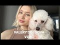 VLOG | МОЯ НОВАЯ ЖИЗНЬ | МОСКВА ✨🍰💕