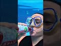 Burp Coke Zero Sugar vs Ramune Watermelon vs Mountain Dew Pitch Black Underwater