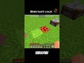 #minecraft