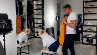 Behind The Scenes | Chow Chow Photoshoot | Exciting Delivery | Carl Cunard