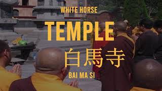 WHITE HORSE TEMPLE AND SHAOLIN TEMPLE IN 2007