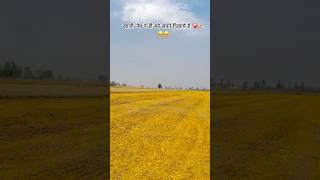 Farming ❤️🌱#humblemusic #nature #farming #love #song #punjabimusic #automobile #music #dhani #karni