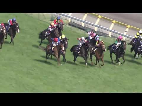 2011 皐月賞 (GⅠ) 直線