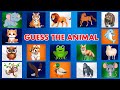 Guess The Animal By Sound Fun Learning Game 20 Animal Quiz For Kids 