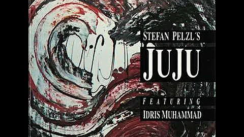 Stefan Pelzl's Juju - Featuring Idris Muhammad (19...