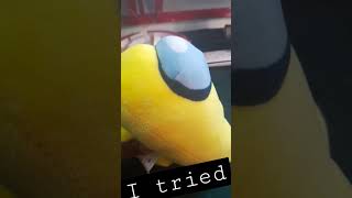 step on a crack pt.1