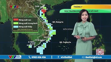 Bản tin thời tiết biển ngày 4/7/2020 | Ngư trường khai thác cá nổi nhỏ tháng 7/2020