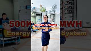 500kW~1.2MWh Liquid Cooling Container ESS.Perfect for EPC, distributors and energy investors.