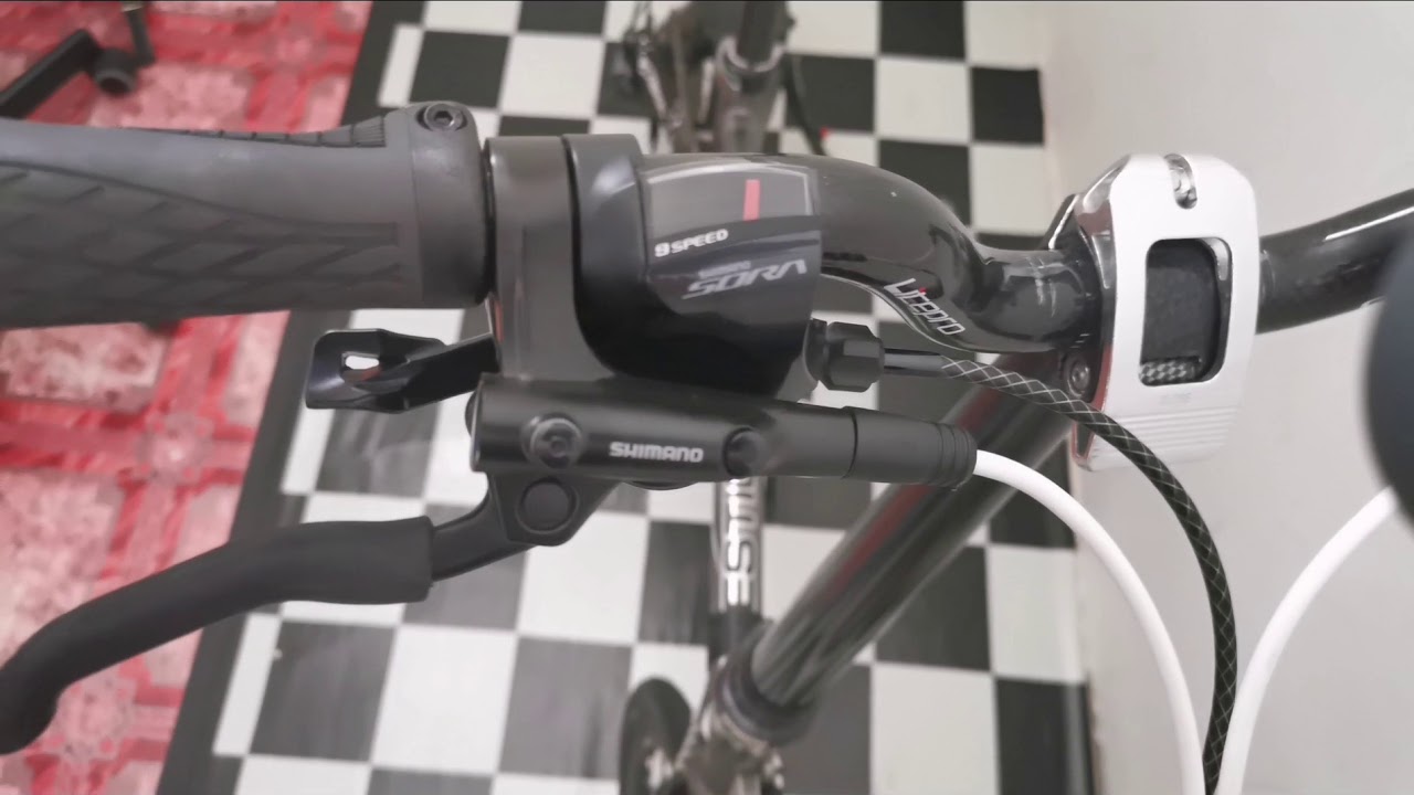 Up-grade Evergreen Maximus Qu