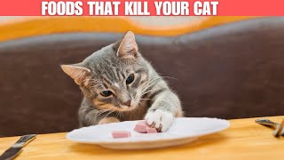 Human Foods that are Deadly for Cats